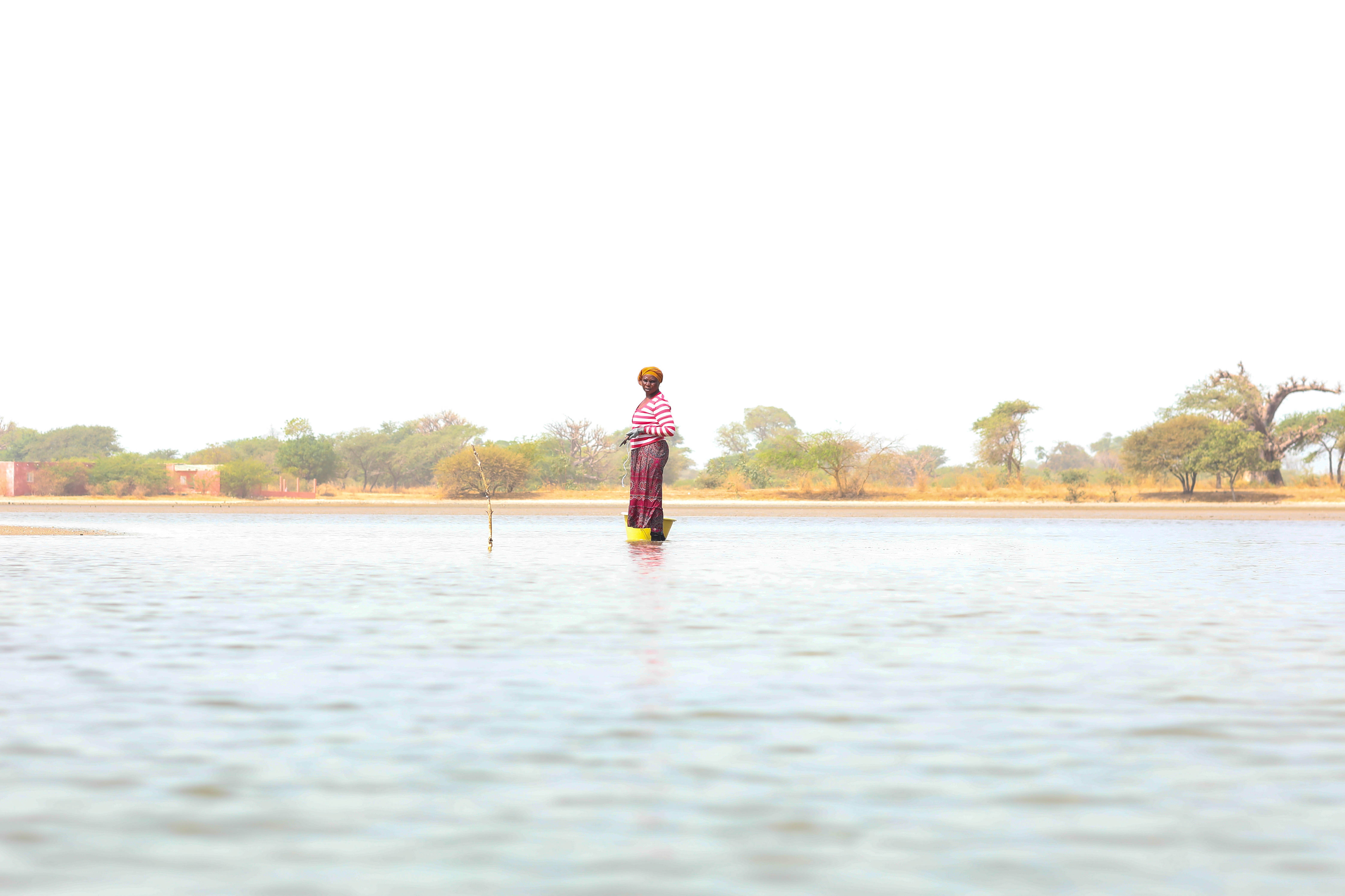 Sine-Saloum
